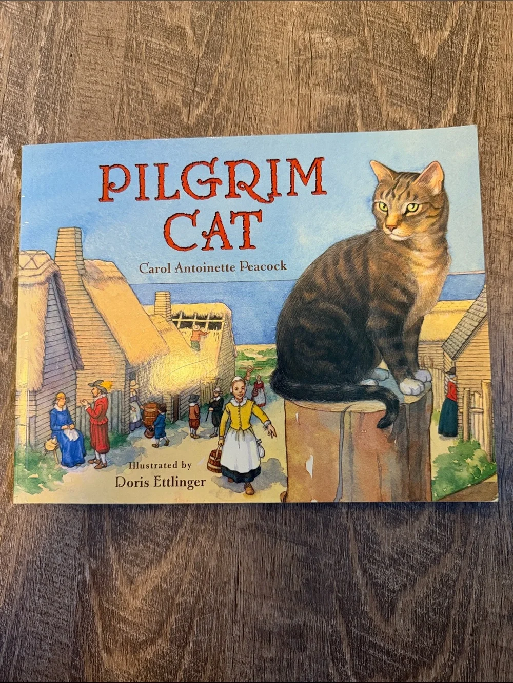 Bundle of kids books